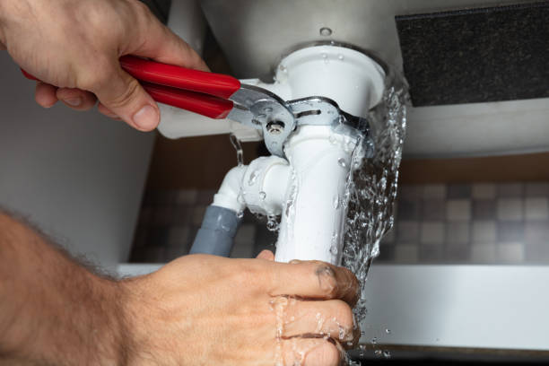 Best Carpet water damage restoration  in Stone Park, IL