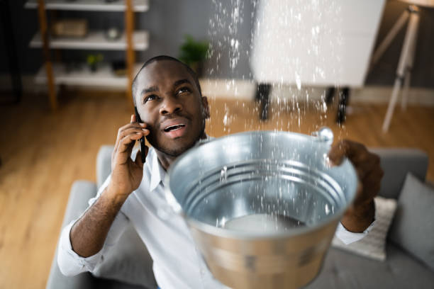 Best Sewage cleanup and water damage restoration  in Stone Park, IL