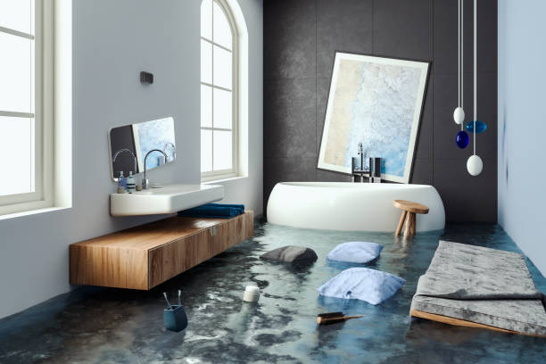 Best Water damage restoration near me  in Stone Park, IL