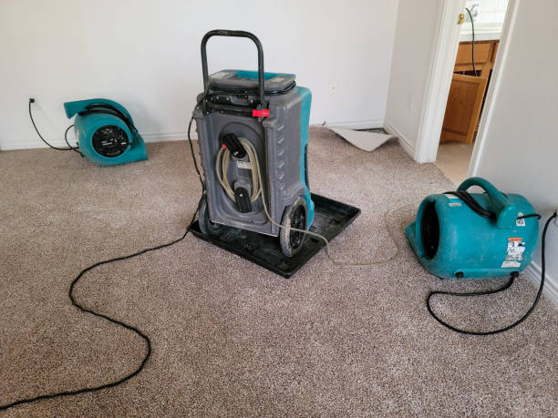 Best Ceiling water damage repair  in Stone Park, IL