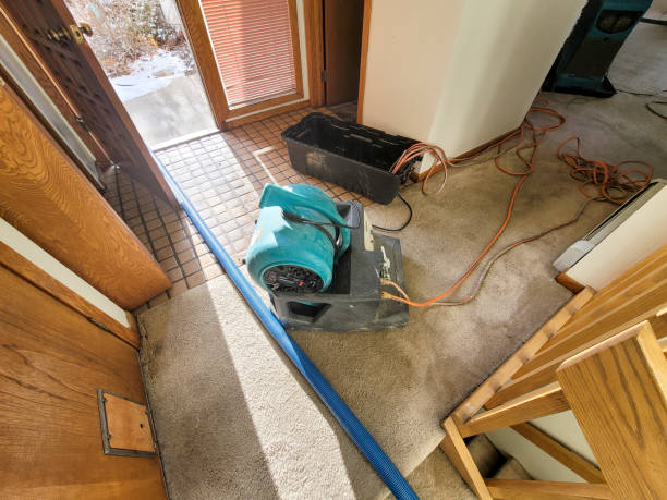 Best Flooded house restoration  in Stone Park, IL