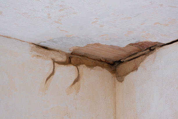 Best Emergency water damage restoration  in Stone Park, IL