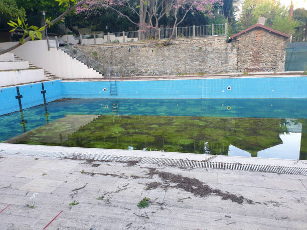 Best Flood restoration services  in Stone Park, IL