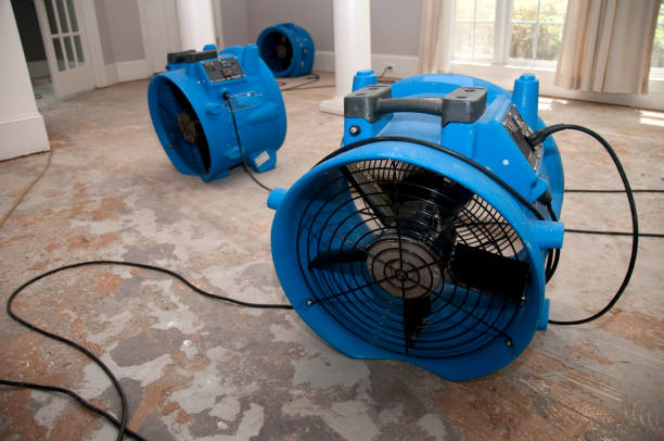 Best Water damage restoration process  in Stone Park, IL