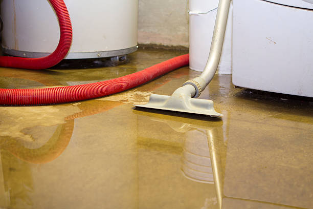 Best Fire Damage Restoration  in Stone Park, IL