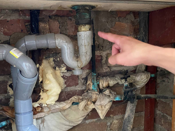 Best Water damage restoration near me  in Stone Park, IL