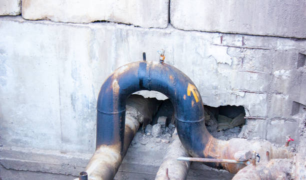 Best Carpet water damage restoration  in Stone Park, IL