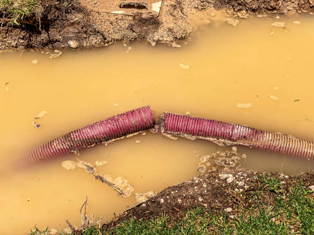 Best 24-hour water damage restoration  in Stone Park, IL
