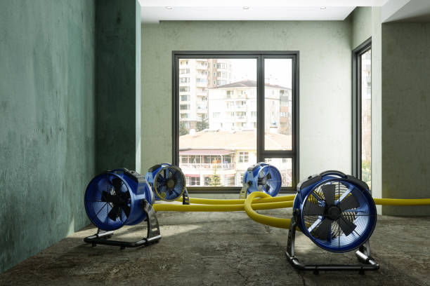 Best Flood restoration services  in Stone Park, IL