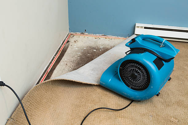 Best Ceiling water damage repair  in Stone Park, IL